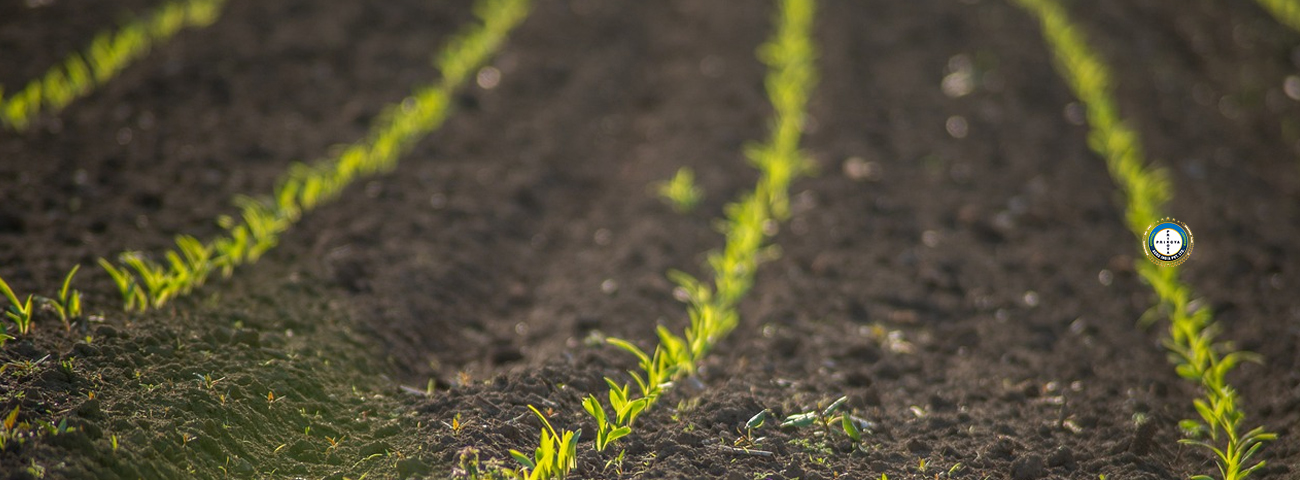 PRIKOYA Agro India Pvt Ltd. 