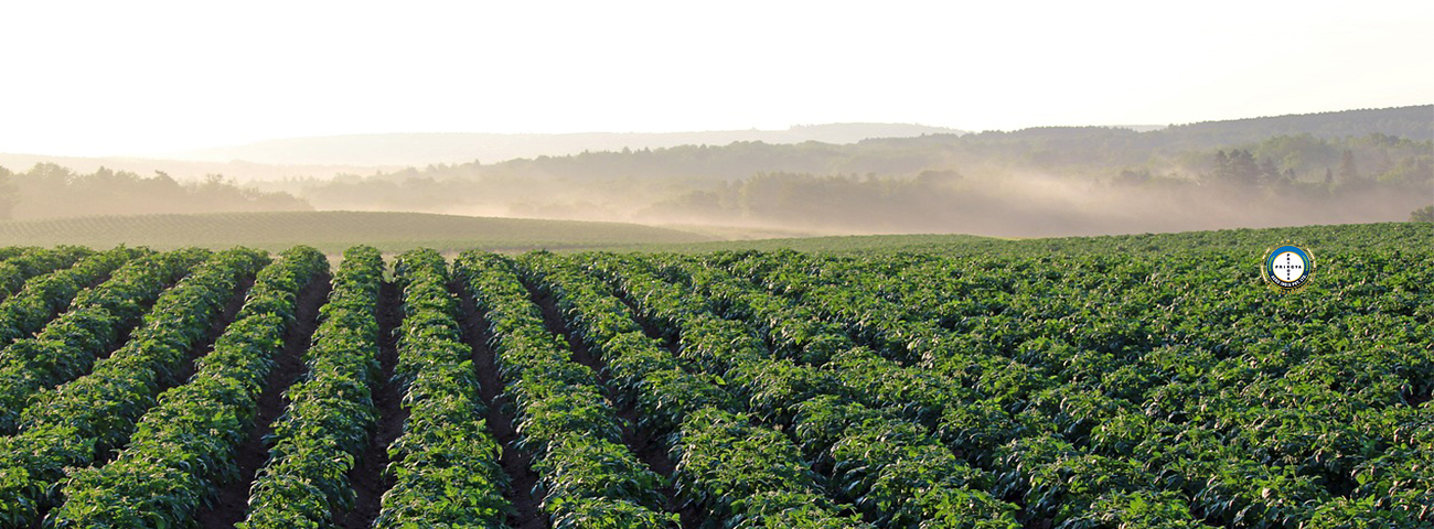 PRIKOYA Agro India Pvt Ltd. 